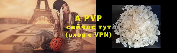 твердый Абаза