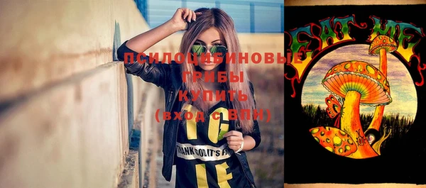 твердый Абаза