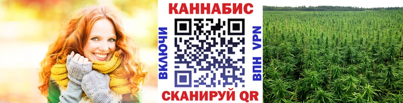 магазин продажи   Истра  Марихуана семена 